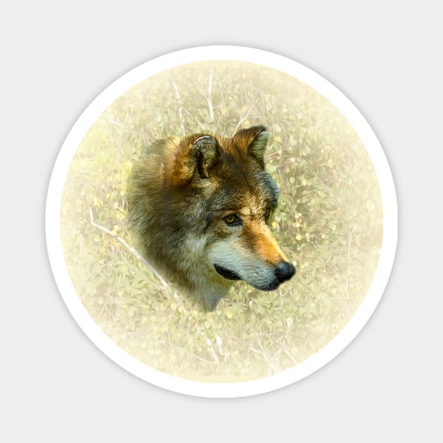 Wolf portrait Magnet by Guardi